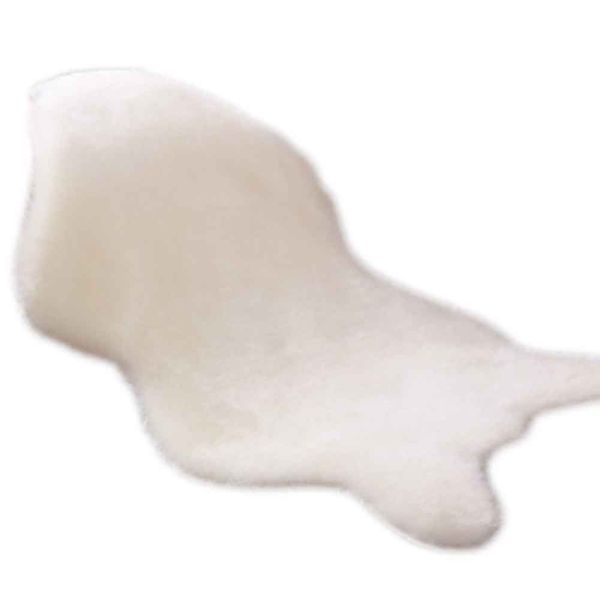 

style products necessaries special sofa carpet window mat item individual luxury casual classical blanket