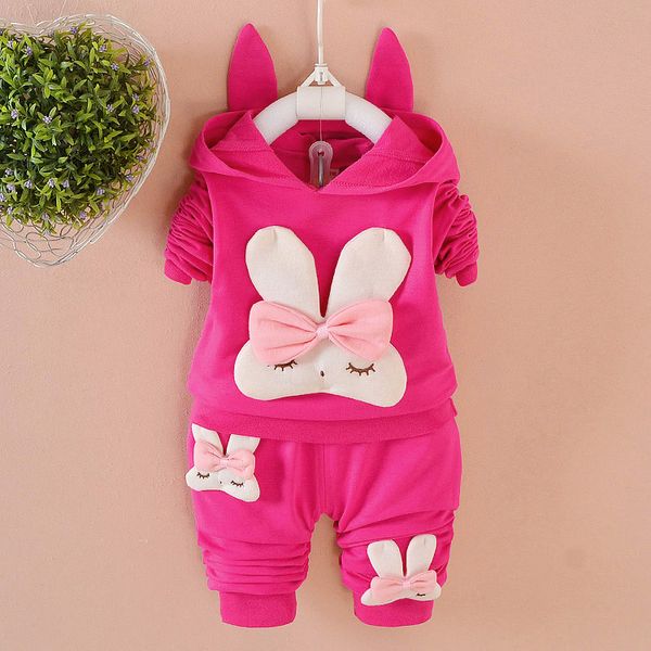 Sonbahar Bebek Giysileri Çocuk Erkek Kız spor Tavşan Hoodies Pantolon 2 Adet/takım Toddler Aktif Giyim Bebek Çocuk Eşofman