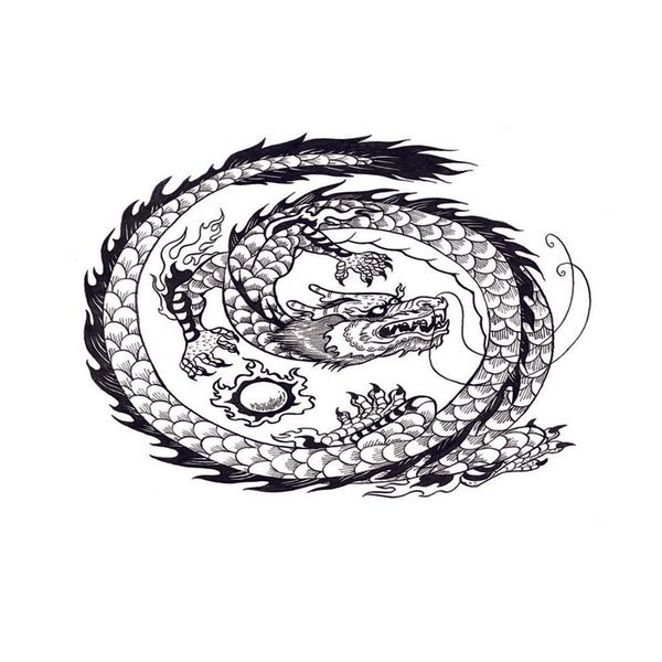 

aquarium background hd picture backdrop fish tank vivarium landscape dragon