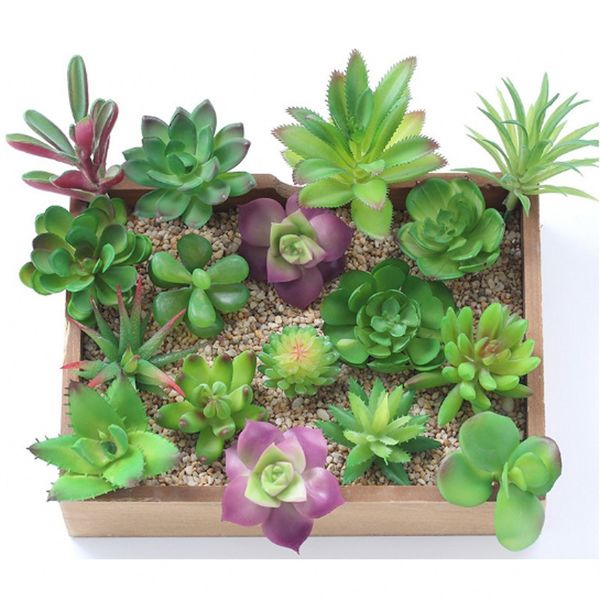 2019 Mini Succulent Plants Palm Bonsai Local Landscape Artificial