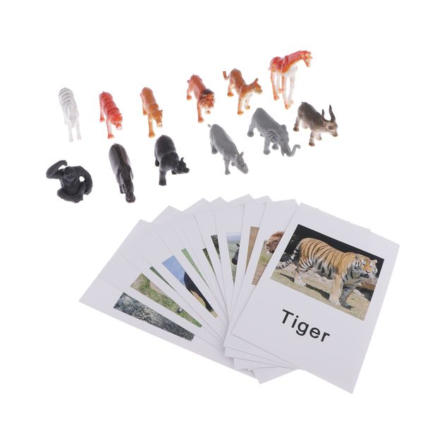 

education toy wild animal group model naming cards for montessori education
