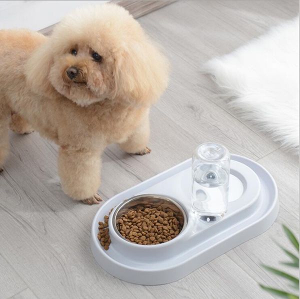 2019 Cat Bowl No Spill Dog Feeder Automatic Dog Feeder Food
