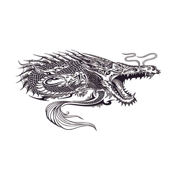 

aquarium фон hd picture фон рептилии виварий пейзаж dragon