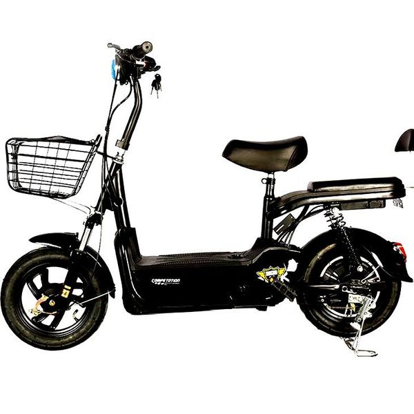 

national standard electric bicycle 48v battery car electric car trolley moped genuine motorcycle