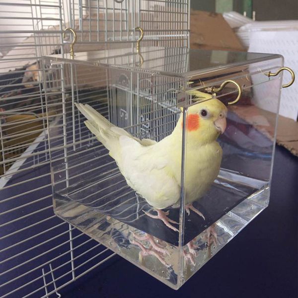 Acheter Bain Perroquet Pivoines Peau De Tigre Bain Basinparrot Stuffbird Baignoire Cage Doiseaux Tubwholesale De Fournitures Pour Animaux De