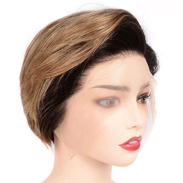 

1b/27 ombre blonde 13x4 lace front human hair wigs 100% brazilian remy straight hair wig 150% density pre plucked hairline 8 inch, Black;brown