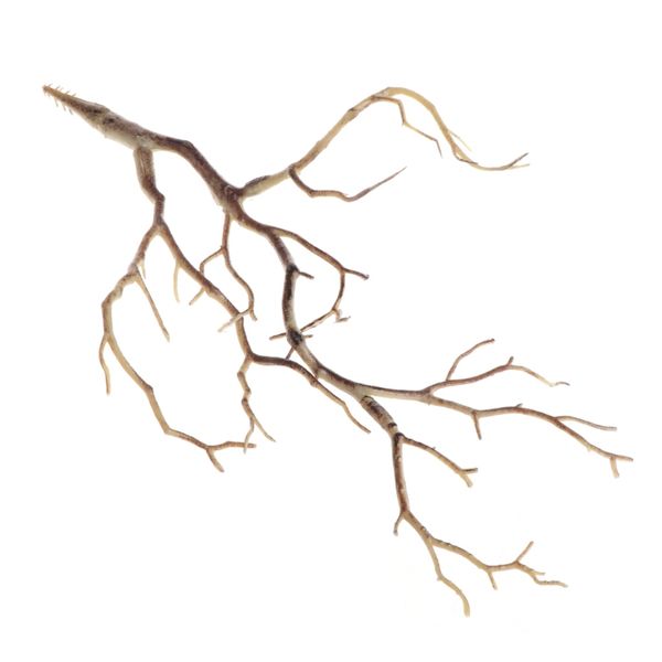 

wedding decoration peacock coral branches plastic artificial plants dried tree