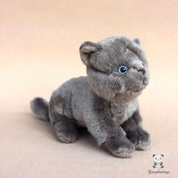 

хорошая игрушка мягкая британская короткошерстная кошка плюшевые куклы подарки подруга реальной жизни голубые кошки модель игрушки настоящее