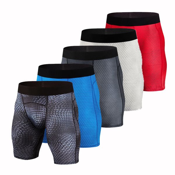 

gym shorts men quick dry sports leggings crossfit gym shorts soccer underwear jogging compression tights running short pants, Black;blue