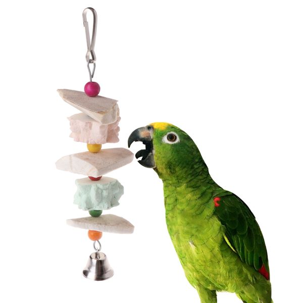 

parrot скрежетание зубами игрушки птица белка кальций камень каракатицы кости с белл