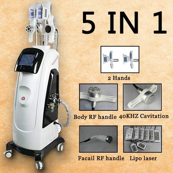 

2020 новый cryolipolysis машина холодная терапия липолиз lipofreeze cryo fat замораживание потеря веса липосакция машина для похудения