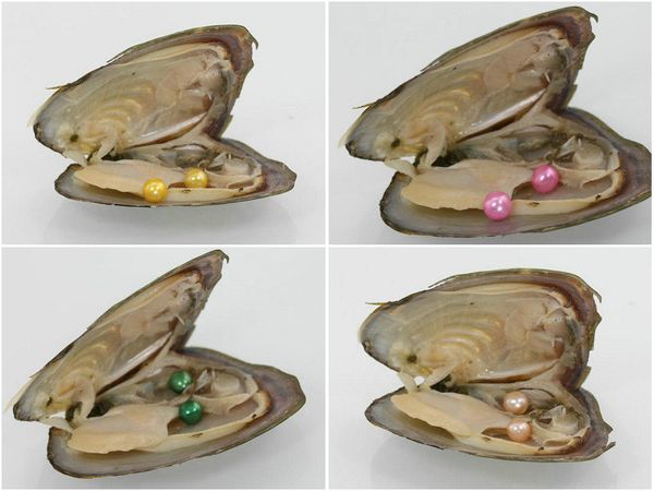 

twins 28 colors freshwater round pearl 6-7mm 2 pearls in oyster pearl oyster diy jewelry making, White