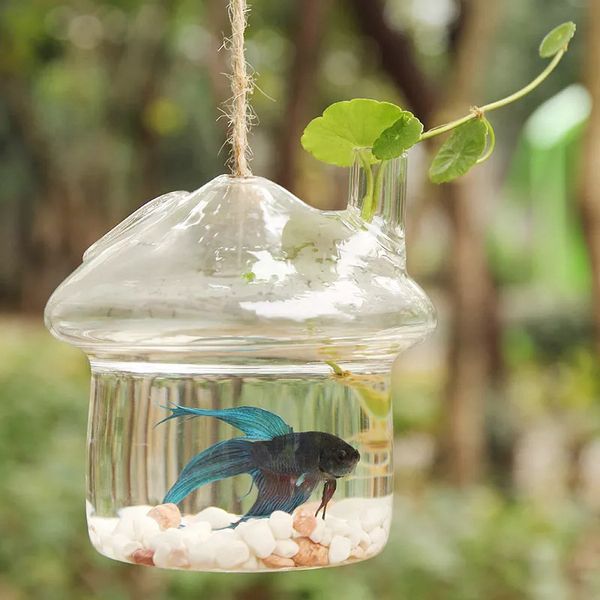 Mushroom House hidropônico plantas Garrafa de vidro do vaso Decoração Festa Casamento Casa Garden