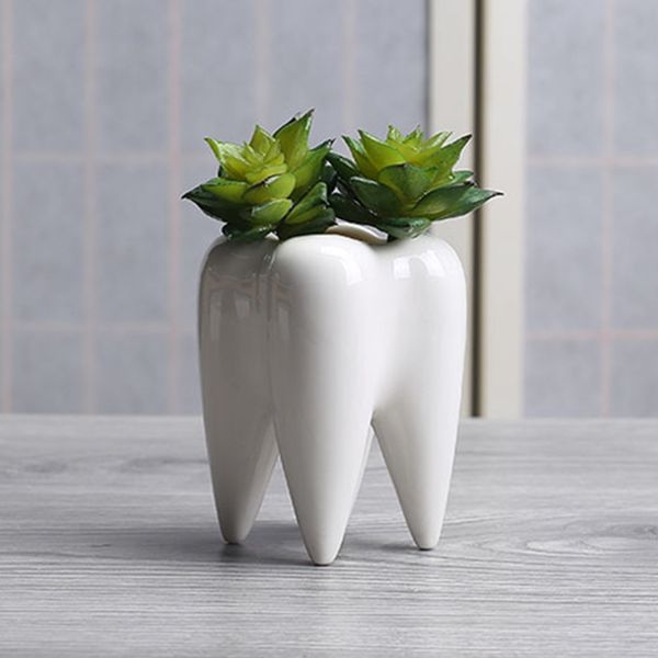 Dentes moldar cerâmica pot suculenta plantador de mini-branco bonito jardim decoração com flores para escritório interior decoração da mesa