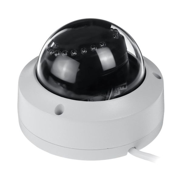 Telecamera dome IP POE da 2 MP 1080P Impermeabile IP67 Visione notturna IR30m Sicurezza esterna