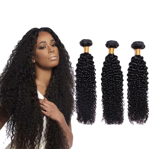 Malaysian Hair Kinky Curly Extensions Human Hair Weaving Bundles