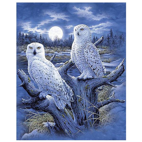 Vollrunde 5d DIY Diamond Painting Animal Owl Diamond Sticked Cross-Stitch-Strass-Wohnkultur