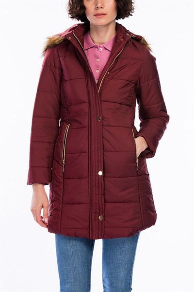 

z6434 dewbery woman coat -burgundy, Black;brown