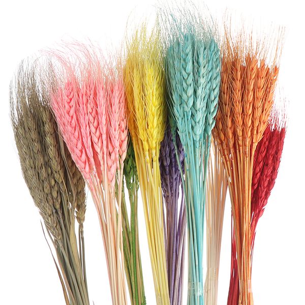 

25pcs/много домашнего декора природный сухих цветов, колосьев пшеницы букет для свадьбы украшение ветвь пшеницы скрап-реквизит diy ремесло