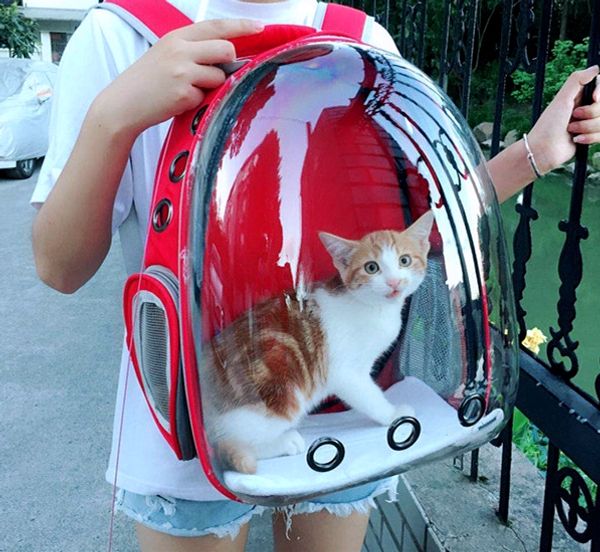 

высокое качество new pet dog cat астронавт рюкзак прозрачная оболочка космическая капсула дышащий открытый сумка-носитель 2019 a