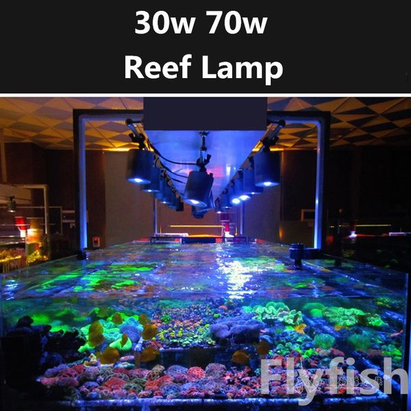 

aquariums lighting reef aquarium seawater coral led light 30w 70w sea water sunrise sunset full spectrum tube clamp lamp