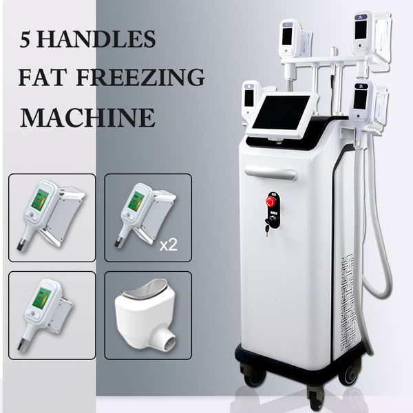 

2020 cryolipolysis потери жира потери замораживания похудения машина сжигания жира вес машины 5 ручка крио жира для похудения