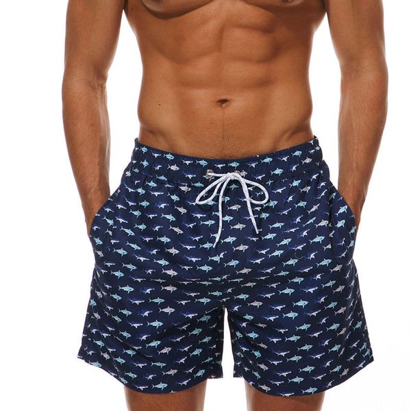 

2019 new summer wholesale men's board shorts quick dry summer mens siwmwear print men trunks swim shorts boardshorts