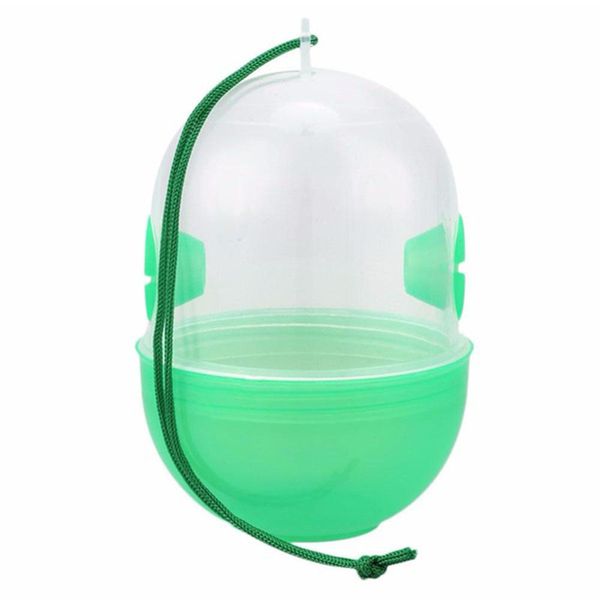 

harmless fly trap wasp catcher