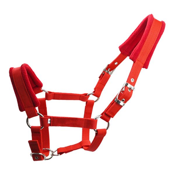 

soft padded pony horse halter bridle headstall head collar horse riding stable