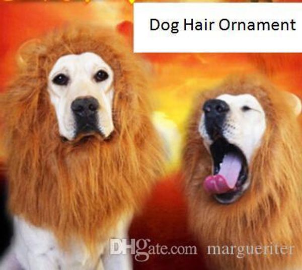 

pet dog орнамент волос собаки льва грива парик halloween dog cat костюмы смешные pet одевание одежды