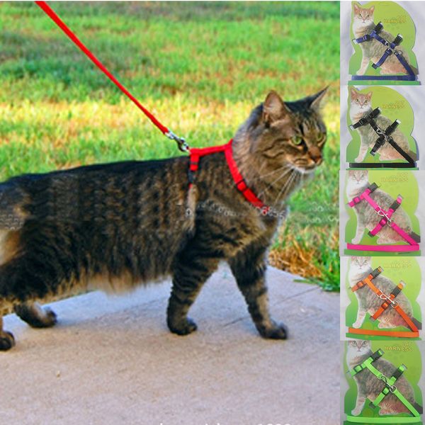

outdoor walking pet accessories durable puppy cat travel dog handheld camping home traction belt