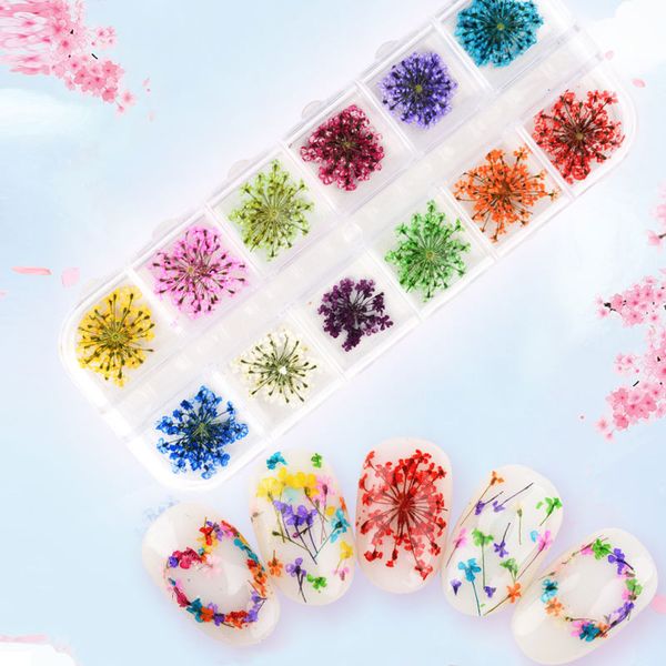 

12 colors diy nail art mixed dried flowers with bottle 3d dry flower decoration nails stickers manicure tips oa66, Silver;gold