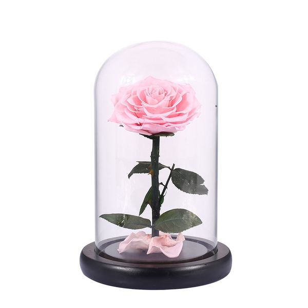

glass cover fresh preserved rose flower barbed rose flores for wedding marriage home party decoration valentine's day gift pink