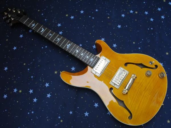 

Guitarra Elétrica naxianre9