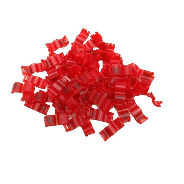 

20 pcs inner 2.7mm 3mm 4mm 4.5mm 5mm bird dove pigeon parrot leg rings small birds foot rings bird clip ring