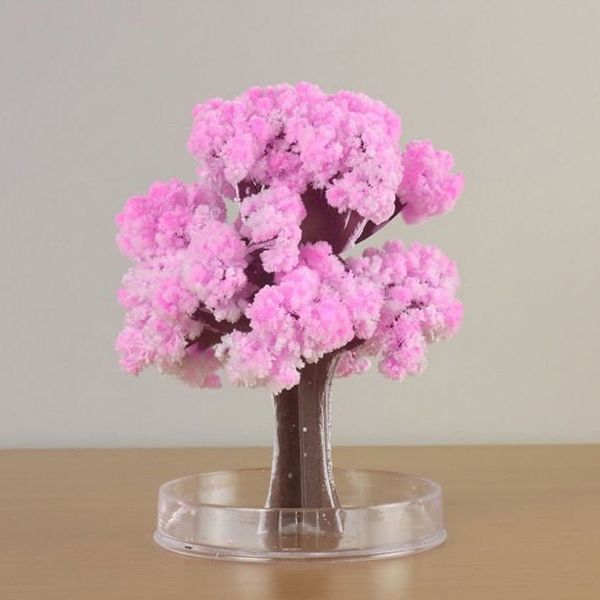 

christmas gift paper tree magic growing tree toy boys girls novelty xmas gift a magic growing tree for kids gifts