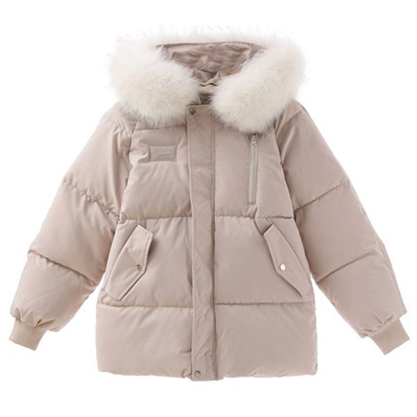 

medan 2019 new korean version of the loose fashion wild down cotton pad women's bread service winter coat tide, Black