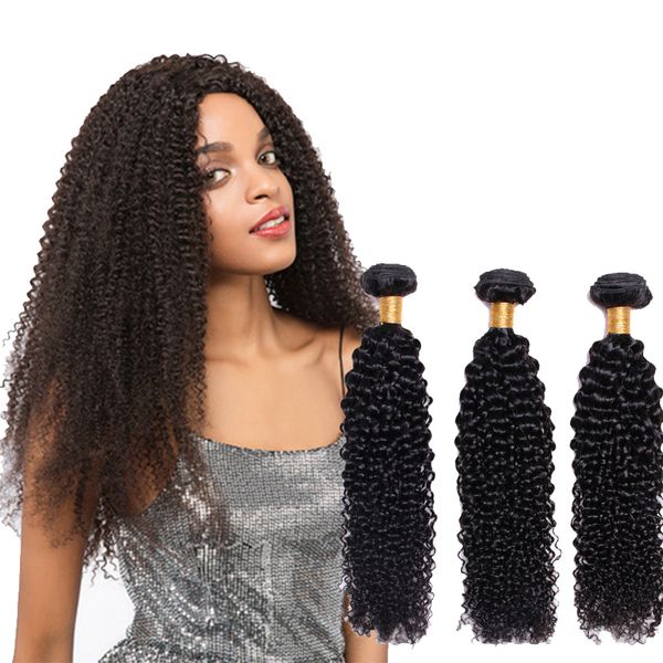 Human Hair Bundles Kinky Curly Hair Weaves Remy Malaysian Natural