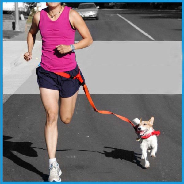 

adjustable hands running bag walking jogging dog waist leash traction rope 6 colors
