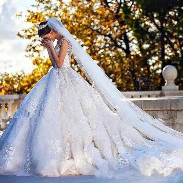 

gorgeous luxury 2019 wedding dresses beads 3d floral appliques lace chapel train bridal gowns v neckline plus size ball gown wedding dress, White