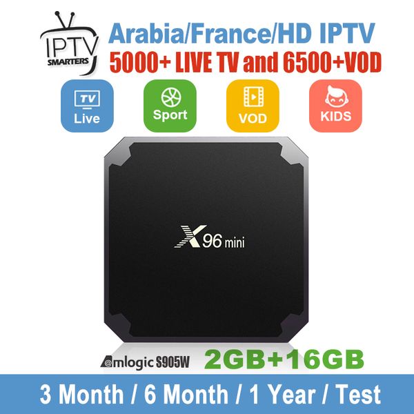 

Выжил TV Подписка с X96 Mini Android TV Box Франция Европа США Канада Германия 7000 + Поддержка