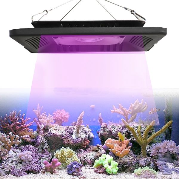 

ull spectrum led grow light for outdoor plants growth flood light 400-850nm waterproof 50w 100w 150w cob ultra thin grow lamps