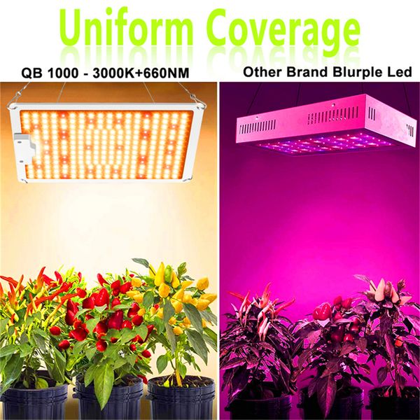 

led grow lights full spectrum samsung led grow light 1000w/2000w/4000w quantum board with lm301b 234pcs 3000k chips and ul meanwell driver
