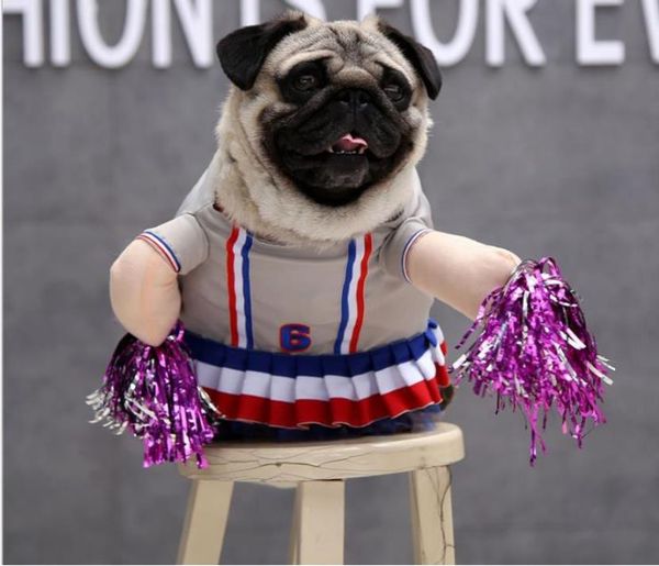 

2020 popular pet supplies riding costume wealth funny standing costume christmas halloween cat upright morphing costume