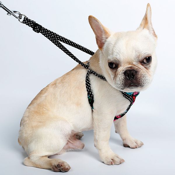 

premium two sweet strawberry polka dot pet traction rope chest harness puppy cat chest back cover go out dog chain dog rope