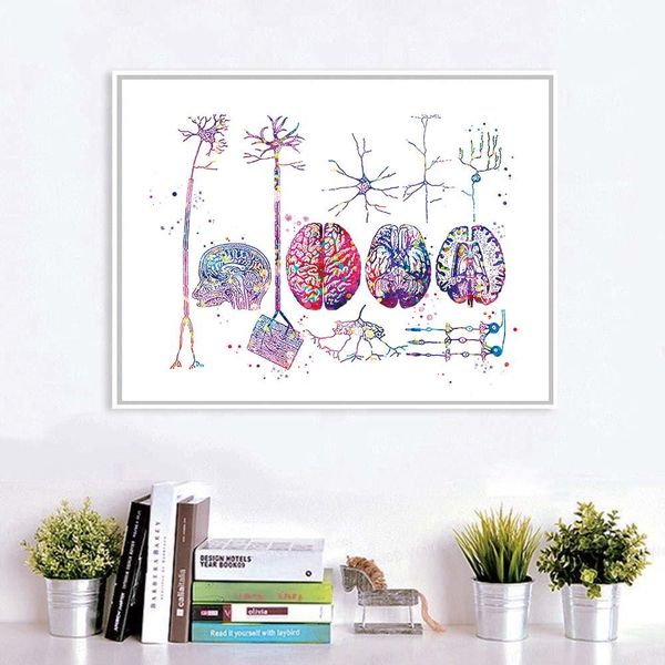 

мозг анатомия холст poster нервных картин биология наука медицина wall art prints доктор подарки плакаты клиника wall art decor