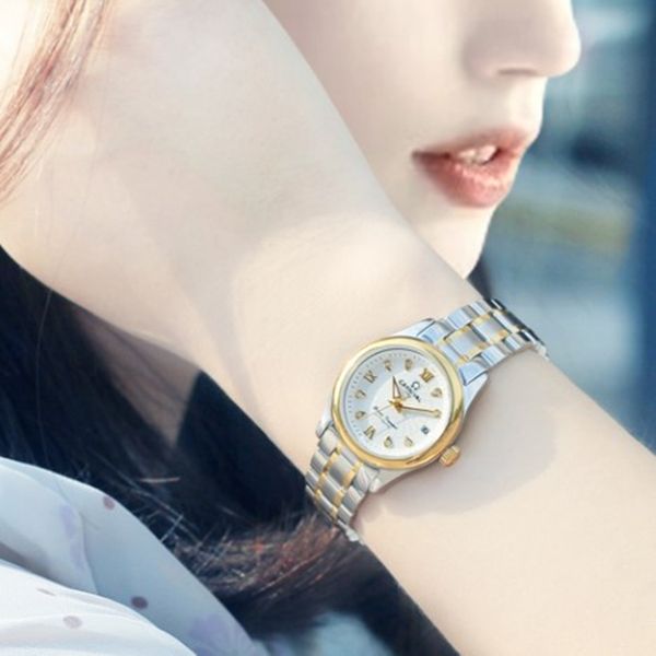 

carnival women watches ladies automatic mechanical watch women sapphire waterproof relogio feminino, Slivery;brown
