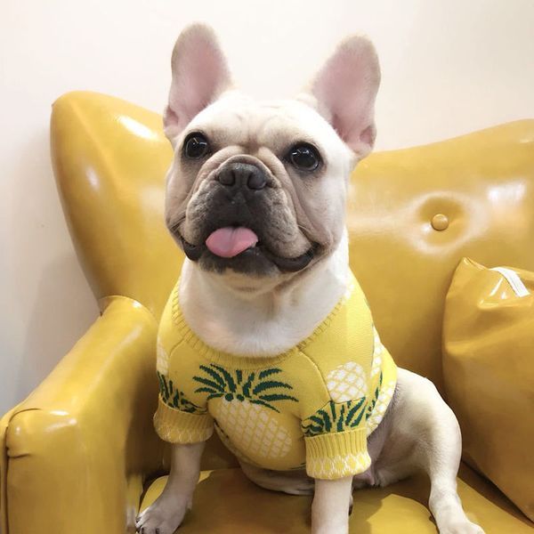 

dog clothes ins popular brand pineapple pet sweater fadou bago fat dog chenery shiba inu autumn and winter sweater