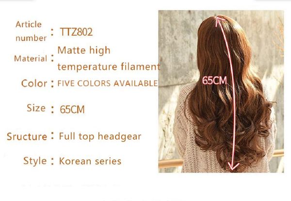 

Big Wave Korean Style Female wig 5 styles human hair lace front wigs Various colors Fluffy Braided wholesale lot