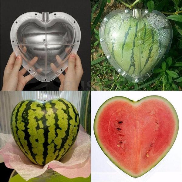 Grande tamanho plástico coração quadrado melancia crescendo molde transparente crescimento de frutas formação de molde